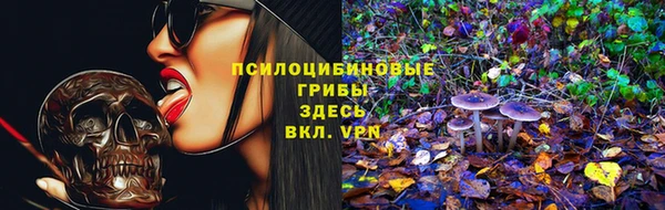 альфа пвп Беломорск