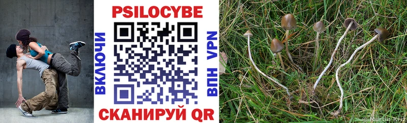 Псилоцибиновые грибы мухоморы  Весьегонск 